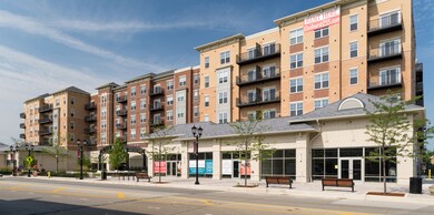 255 N Addison Ave unit 424, Elmhurst, IL 60126 - photo 5