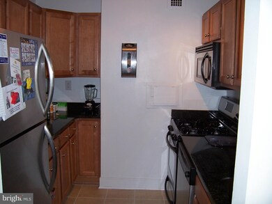 Mica Condominiums unit 506, Silver Spring, MD 20910 - photo 7