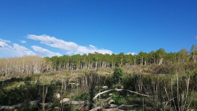 22040 Snowbird Dr, Helper, UT 84660 - photo 6