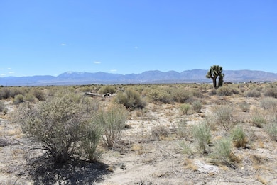 14500 E Avenue R, Juniper Hills, CA 93543 - photo 3