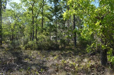 000 Sea Oaks Loop, Keaton Beach, FL 32348 - photo 5