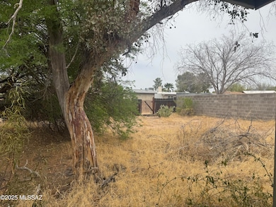 Large Backyard