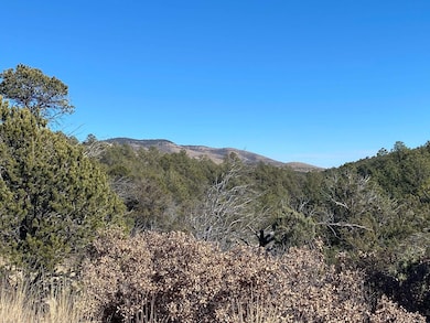 0 Ruby Dr, Timberon, NM 88350 - photo 3