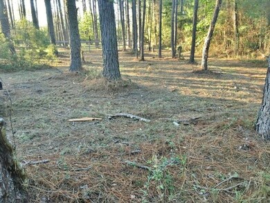 131 Bluebird Ln, Adel, GA 31620 - photo 3