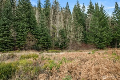 0 XXX 0, Leavenworth, WA 98826 - photo 6