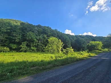 TBD Cliff Rd, North Tazewell, VA 24630 - photo 2