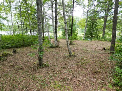 DJI_0015