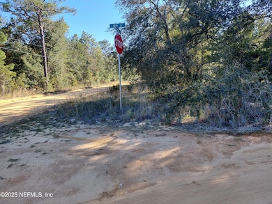 222 Hamilton Ave, Interlachen, FL 32148 - photo 3