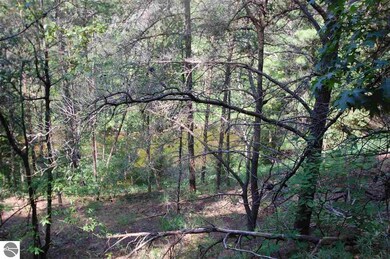 VL Rifle River Trail, West Branch, MI 48661 - photo 4