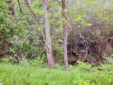 Cedar and W 12th St, Evart, MI 49631 - photo 5