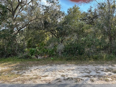 Lot 14, Block 75 Park Ave, Lake Wales, FL 33855 - photo 3