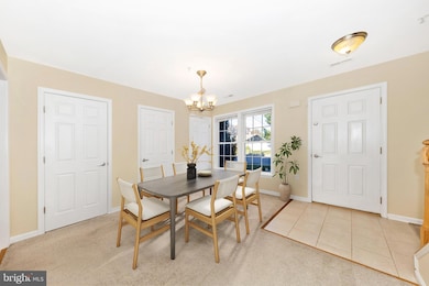 256 W 14th St, Frederick, MD 21701 - photo 7