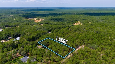 5-web-or-mls-Via Internacional Aerial-4