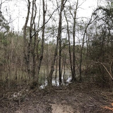 000 Airport Rd, Tylertown, MS 39667 - photo 6