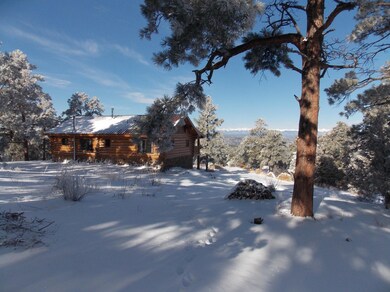 33651 Mountain View unit 79, Trinidad, CO 81082 - photo 4