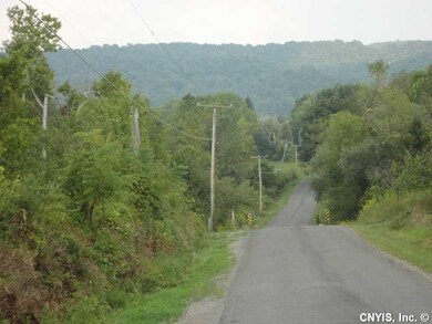 Land. Looking down Webster Road. Property runs dow
