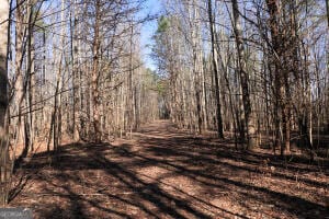 0 Puddin Ridge Rd, Flat Rock, AL 35966 - photo 7