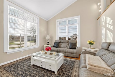 Living room featuring crown molding, lofted ceiling, and wood finished floors