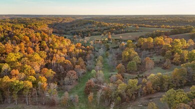 000 Weatherby Dr unit 20 Ac Tract, Fordland, MO 65652 - photo 4