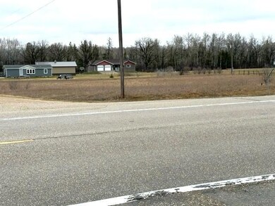 TBD Minnesota 11, Badger, MN 56751 - photo 4