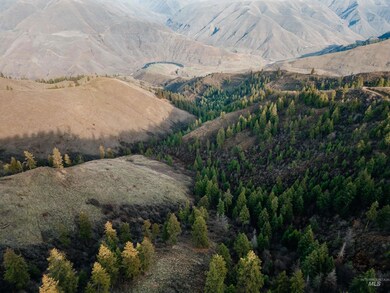 TBD Boles Rd, Cottonwood, ID 83552 - photo 6