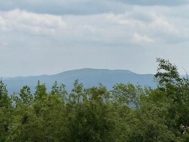 146 Ridges Way unit 1200-1, Peru, VT 05152 - photo 5