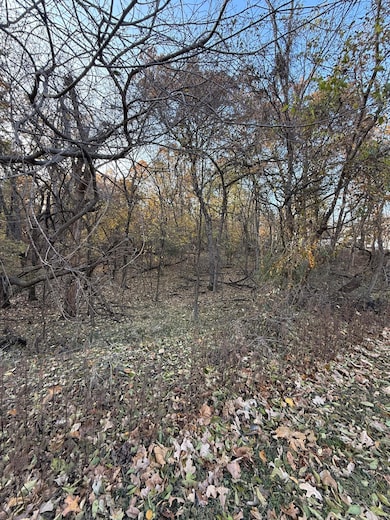 TBD Shady Lane Lot 8, Other, MO Other - photo 2