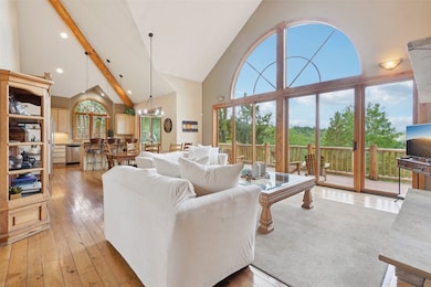 Living room featuring high vaulted ceiling, light