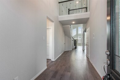 28615 Sonoran Field Ct, Fulshear, TX 77441 - photo 6