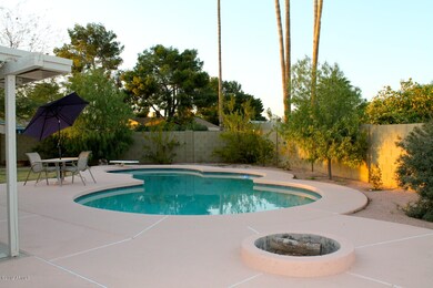 Fire pit and pool