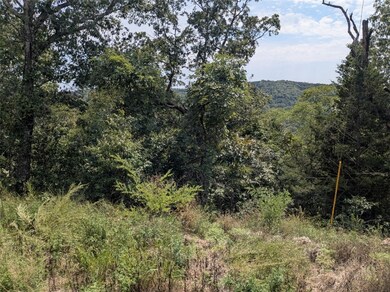 25 Cypress Point Ln, Eureka Springs, AR 72631 - photo 6