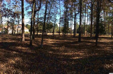 Lot 15 Bantry Ln, Conway, SC 29526 - photo 7