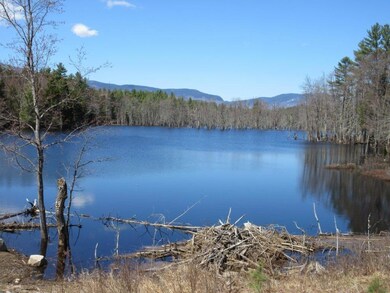 0 Fernalds Hill unit 1375128, Stow, ME 04037 - photo 7