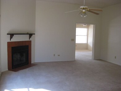 Living Room Fireplace