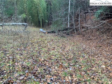TBD Fall Creek Rd, Purlear, NC 28665 - photo 7