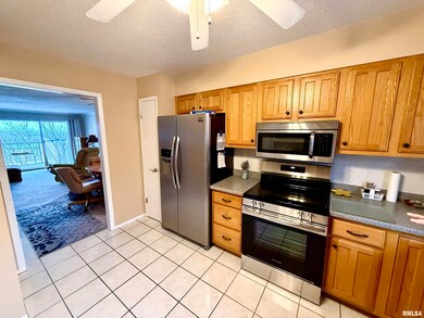 3721 35th St unit 4, Moline, IL 61265 - photo 6