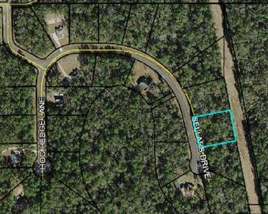 120 Sellars Dr, Crawfordville, FL 32327 - photo 7