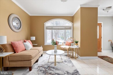 907 Lincoln Ave, Falls Church, VA 22046 - photo 5