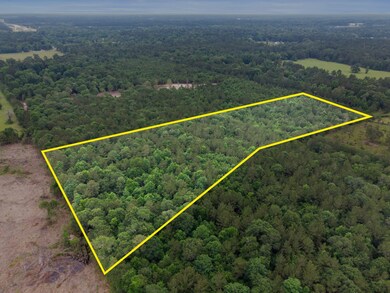Tract 2 Smith Rd, Cleveland, TX 77328 - photo 2