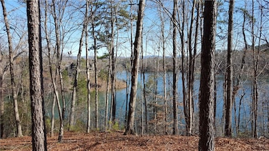 917 Rippling Water Way, Salem, SC 29676 - photo 4