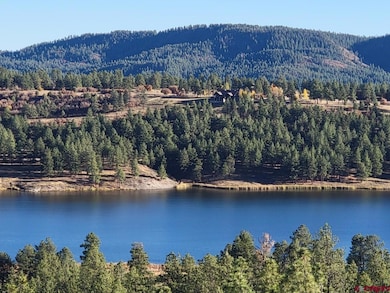 21 Echo Lake Access Easement, Pagosa Springs, CO 81147 - photo 4