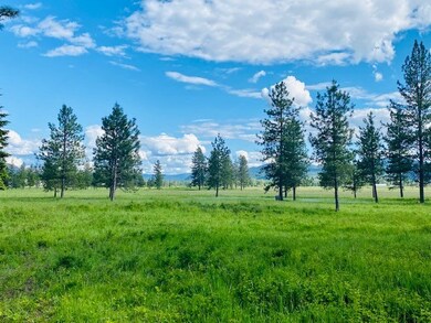 3817 Mt Highway 200, Trout Creek, MT 59874 - photo 4