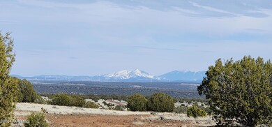 639 Westwood Ranch, Ash Fork, AZ 86320 - photo 6