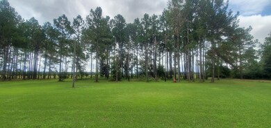 5426 Ione Rd, Pavo, GA 31778 - photo 7