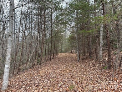 00 Jackson Cove Pkwy unit 2, Mill Spring, NC 28756 - photo 5