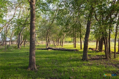 0 Old Seguin Luling Rd unit 588407, Seguin, TX 78155 - photo 4