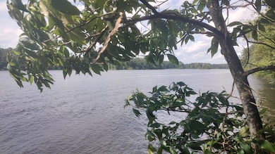 IMG_20250615_153446965_HDR