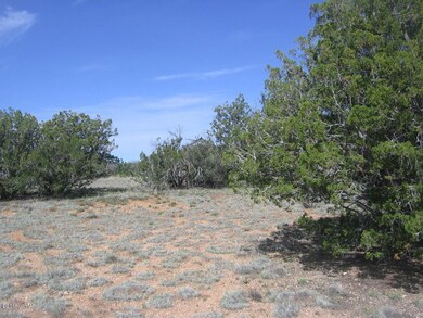 Itasca 5 Acres 003 - Copy