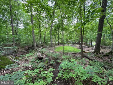 2751 Swamp Creek Rd, Red Hill, PA 18073 - photo 6