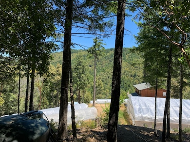 1010 Windy Ridge Ln, Garberville, CA 95542 - photo 6